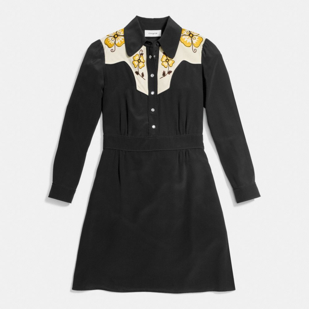 Everyday Western Dress