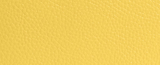 COACH®,COURT BACKPACK IN SIGNATURE CANVAS,pvc,Medium,Office,Silver/Khaki/Retro Yellow