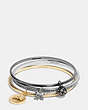 Horse And Carriage Coin Mix Bangle Set