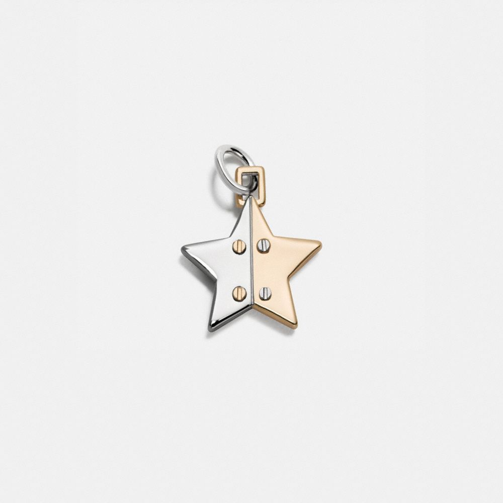 Two Tone Hinged Star Charm