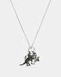 COACH®,REXY SKULL CHARM SET NECKLACE,Metal,Silver/Black,Front View