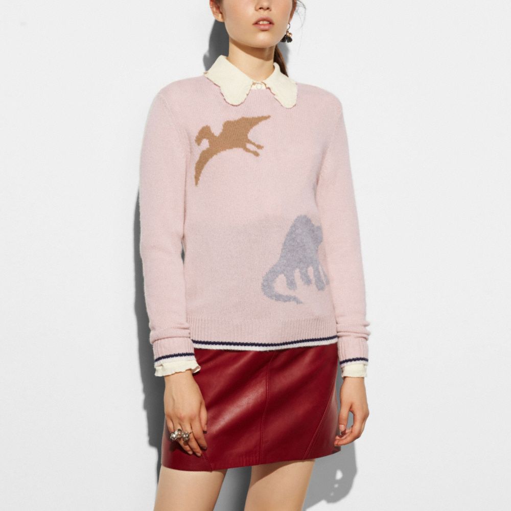 Long Sleeve Crewneck With Dino