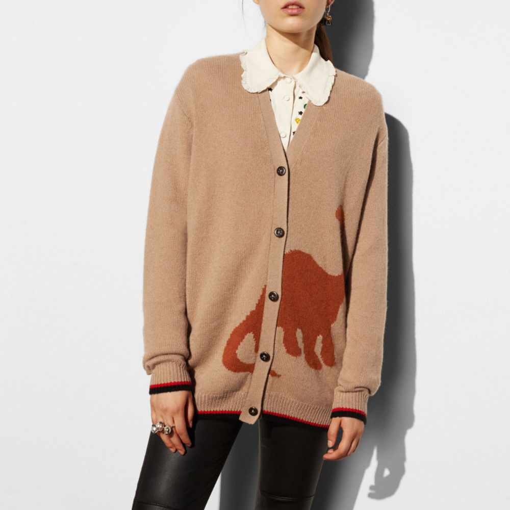 Long Sleeve Cardigan With Dino