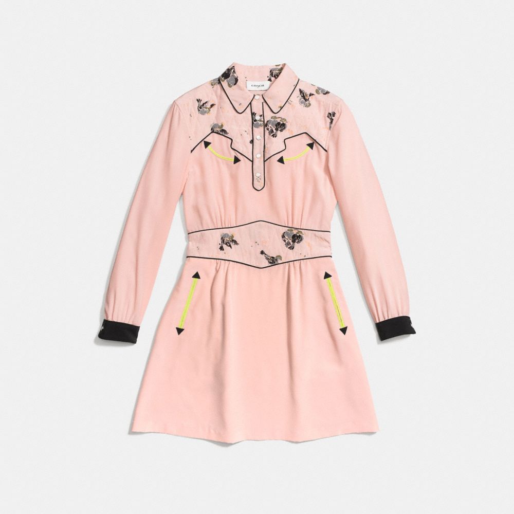 Printed Western Dress