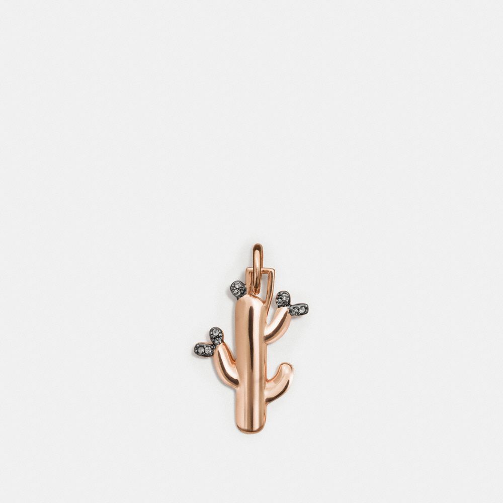 Cactus Charm