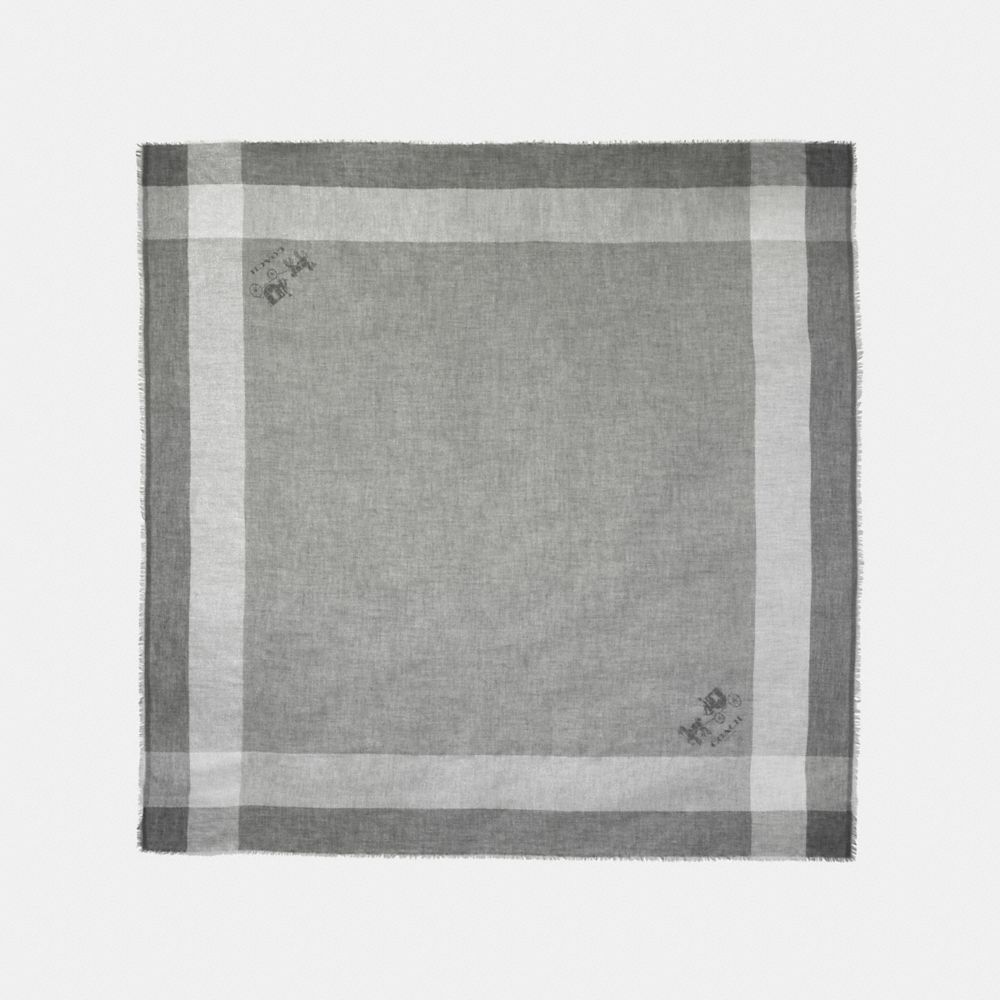 Grafito,Vista frontal