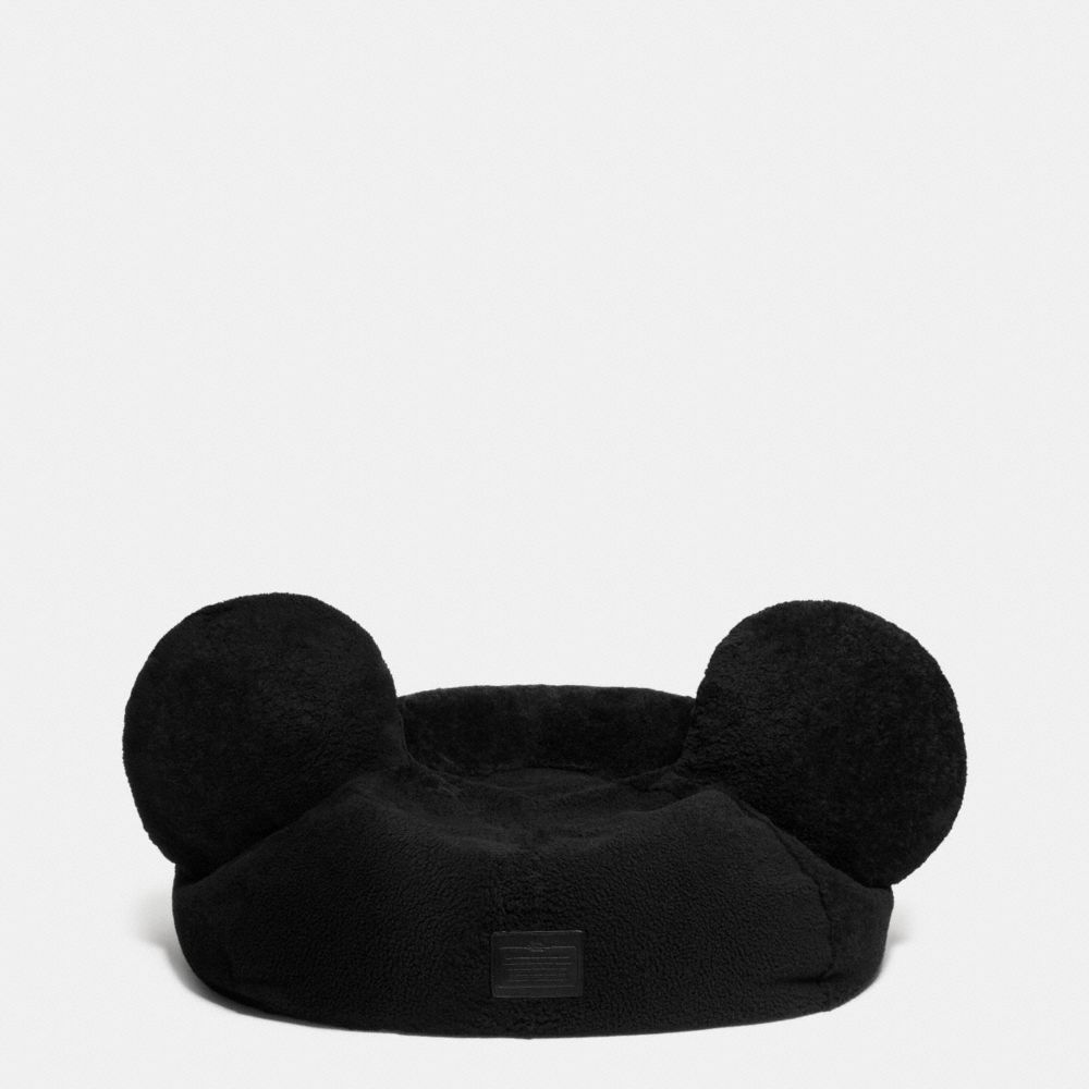 Mickey Bean Bag