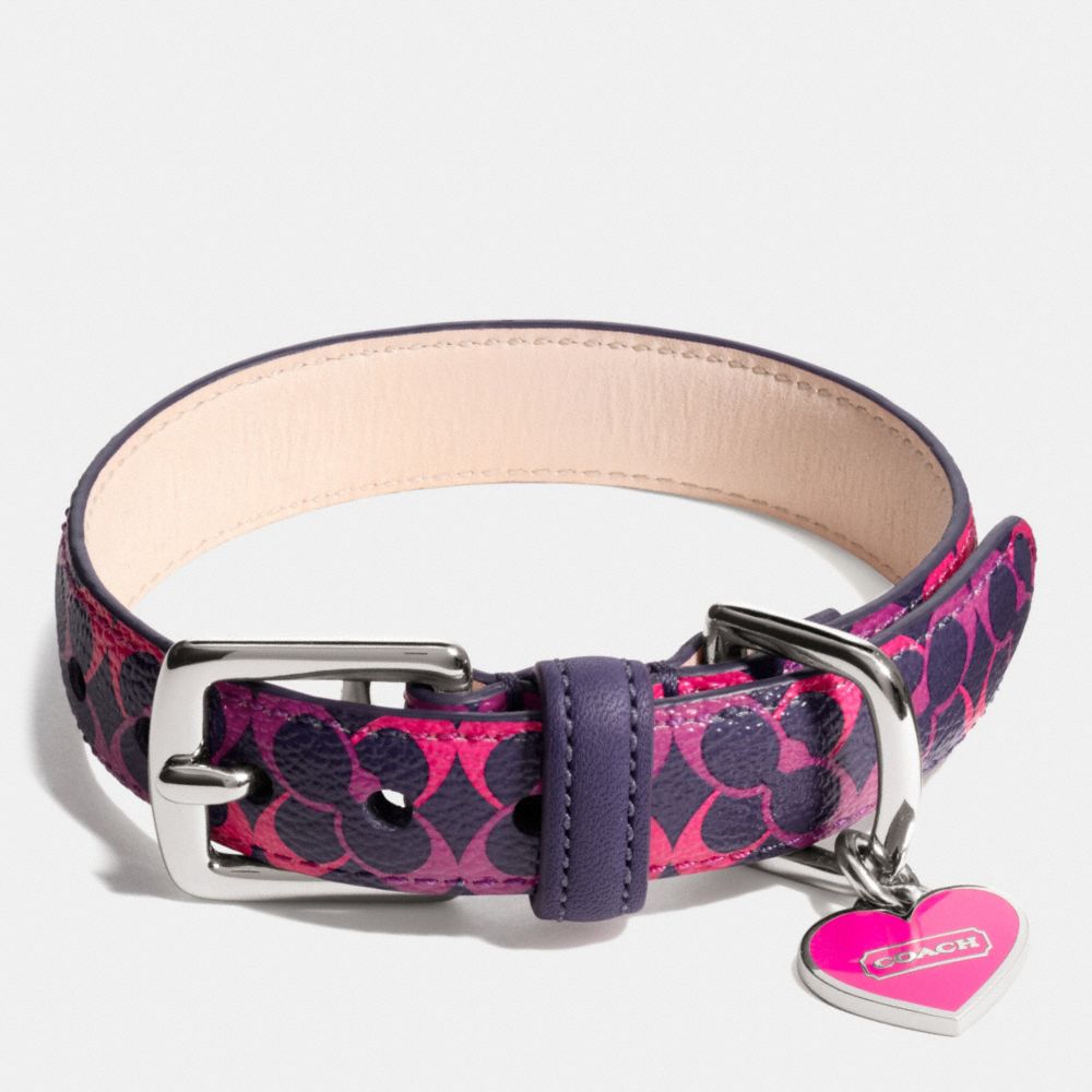 Waverly Signature Pet Collar