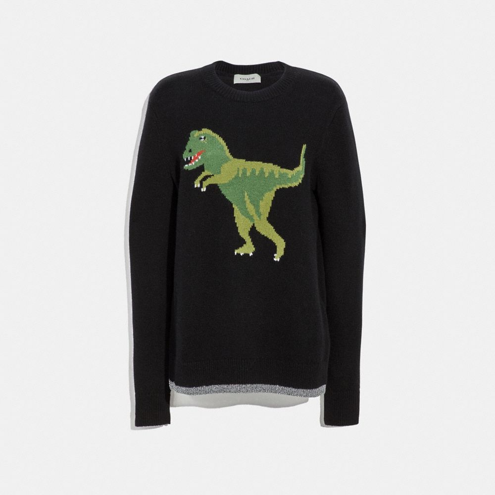 Coach best sale dinosaur sweater