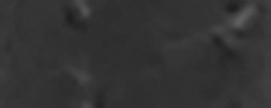 QA_AUTO Novelty Strap