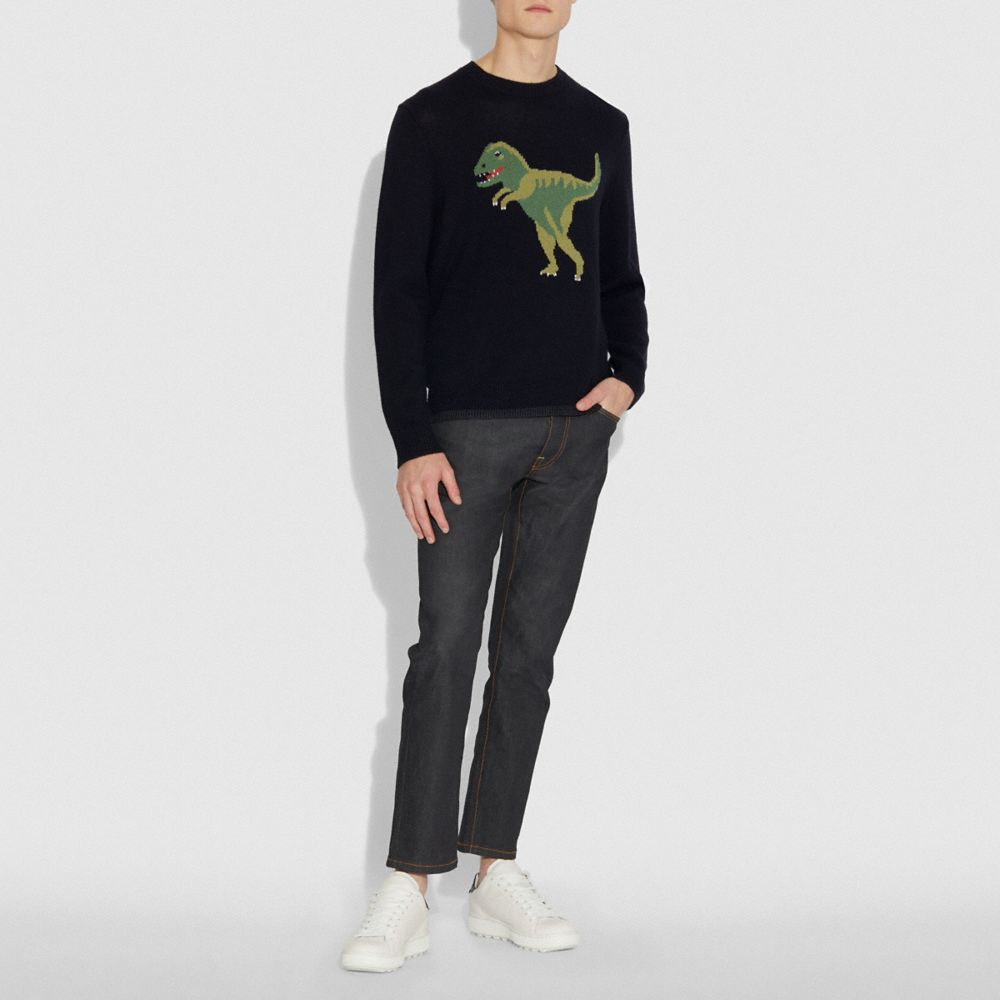 Coach rexy sweater mens sale