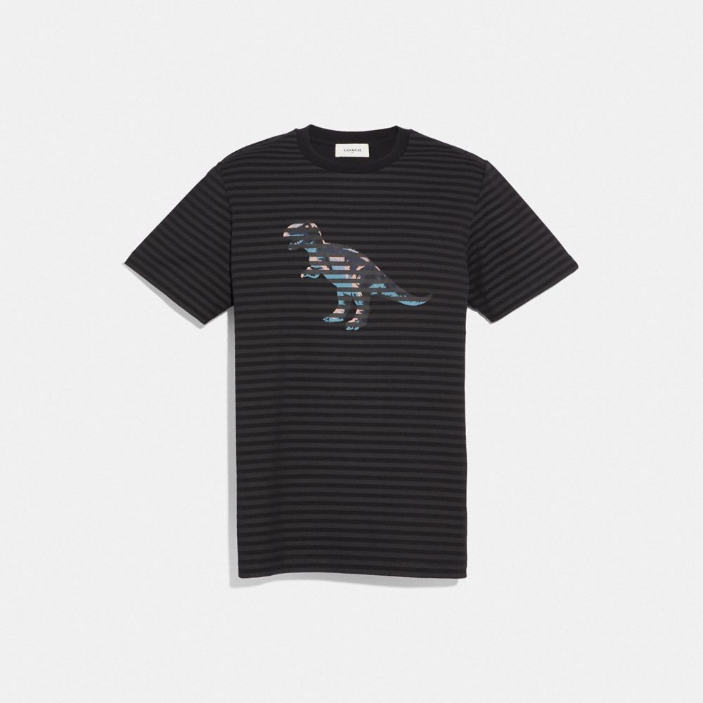 Dinosaur Stripe T Shirt