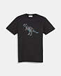 Dinosaur Stripe T Shirt