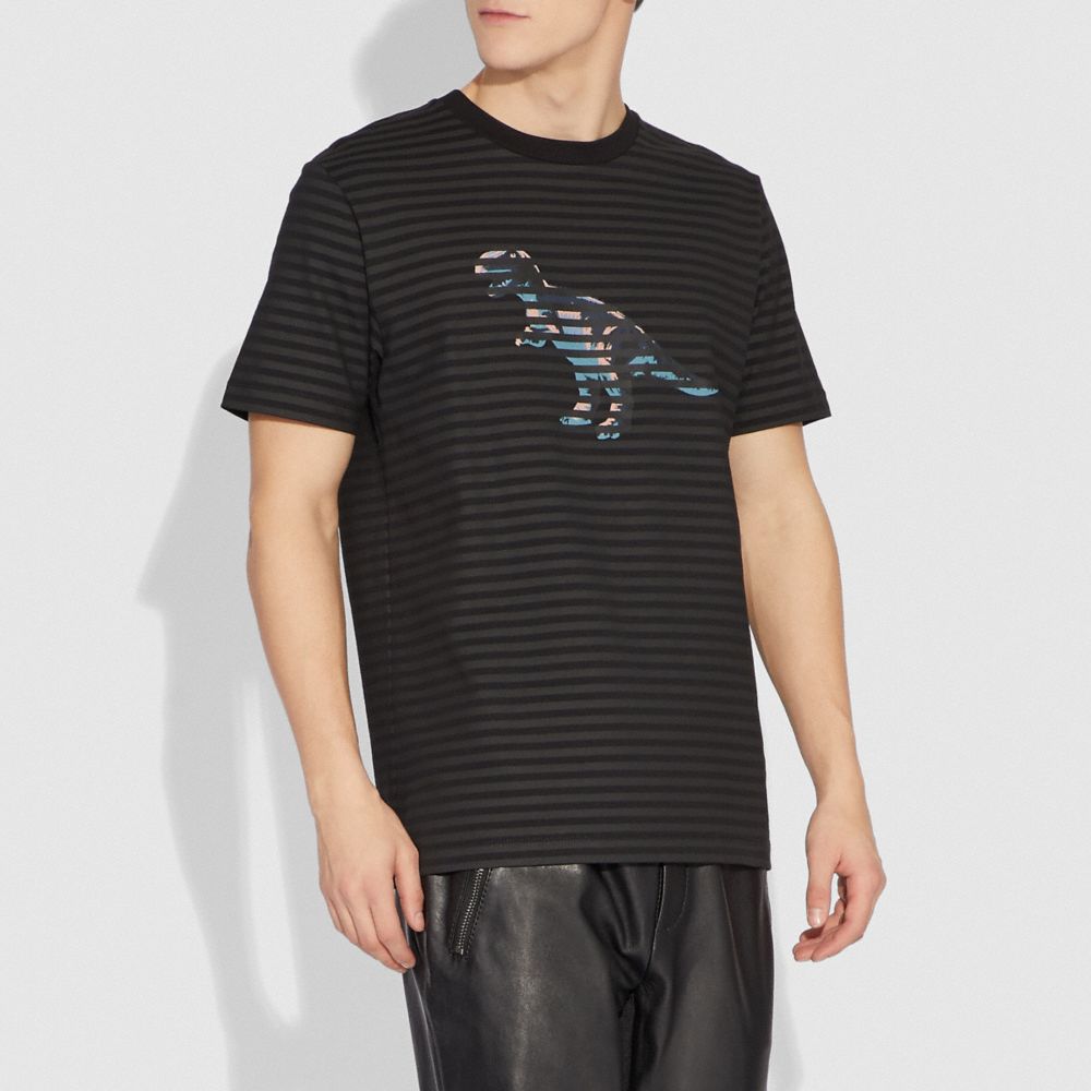 Dinosaur Stripe T Shirt