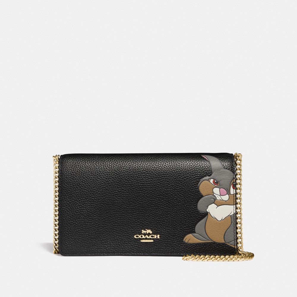 Coach hot sale disney clutch