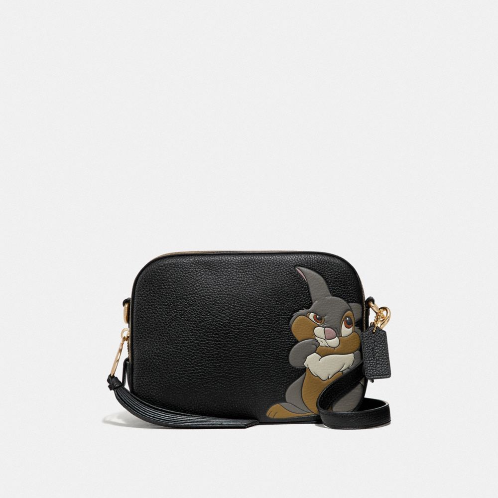 Coach x disney camera bag hotsell