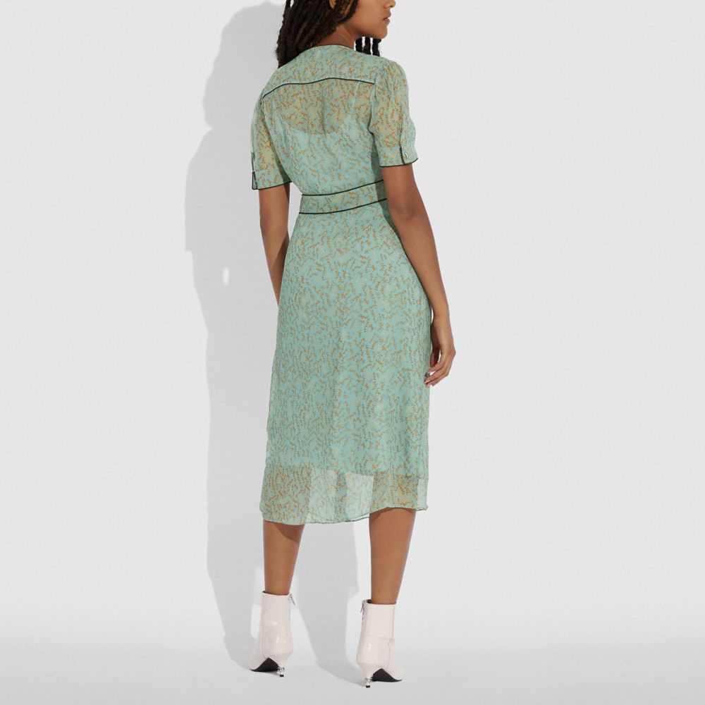 COACH®,ROBE LONGUE COL V EN MOUSSELINE IMPRIMÉE,Soie,Turquoise/Marron,Scale View