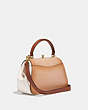 COACH®,FRAME BAG IN COLORBLOCK,Leather,Medium,Brass/Beechwood,Angle View