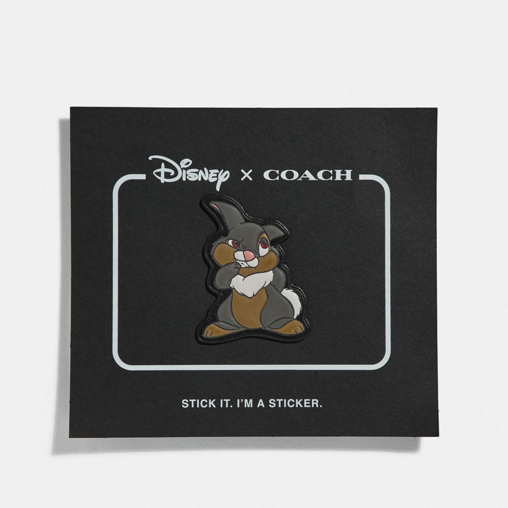 Coach best sale disney thumper