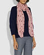 Signature Butterfly Print Oblong Scarf