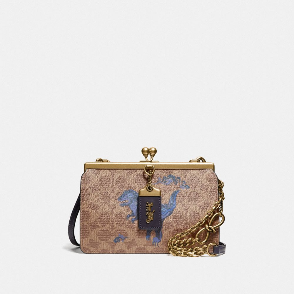 Coach double cheap frame crossbody