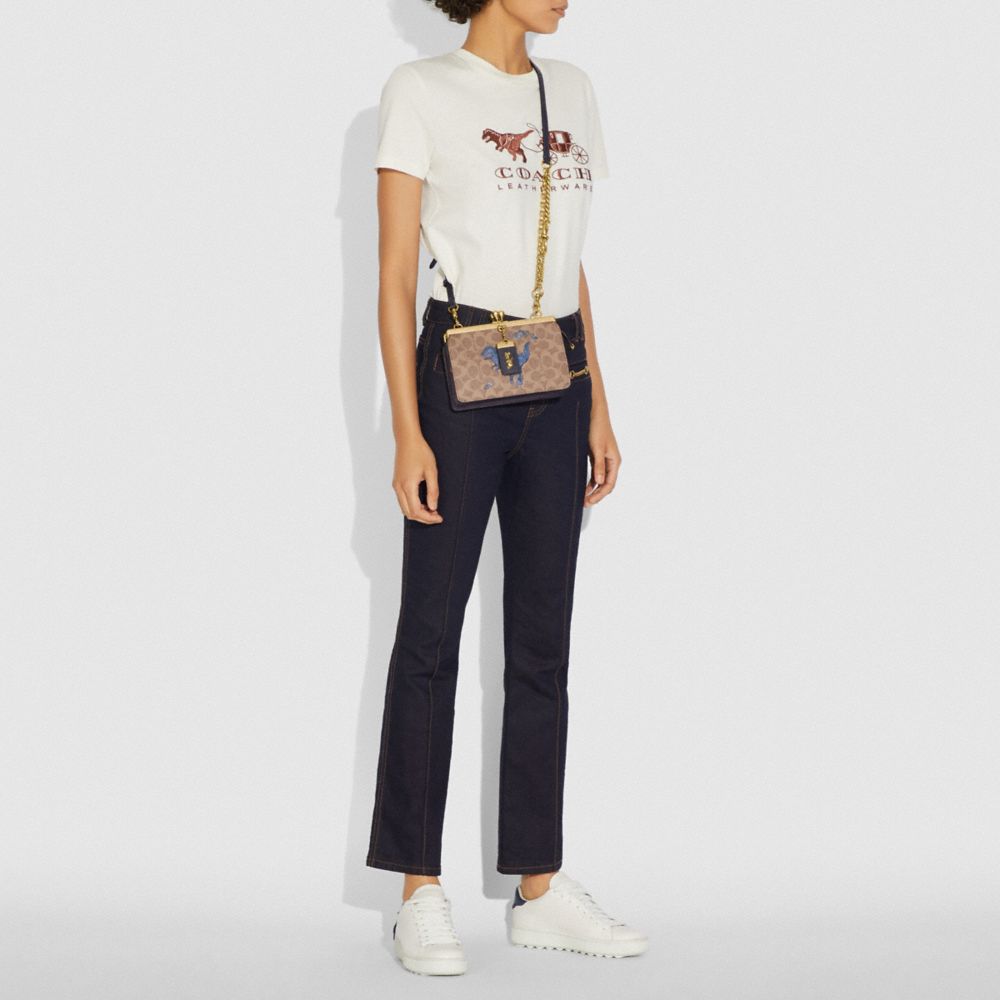 COACH®,Double Frame Bag 19 In Signature Canvas With Rexy By Zhu Jingyi,,Detail View