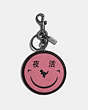 Rexy By Yeti Out Bag Charm