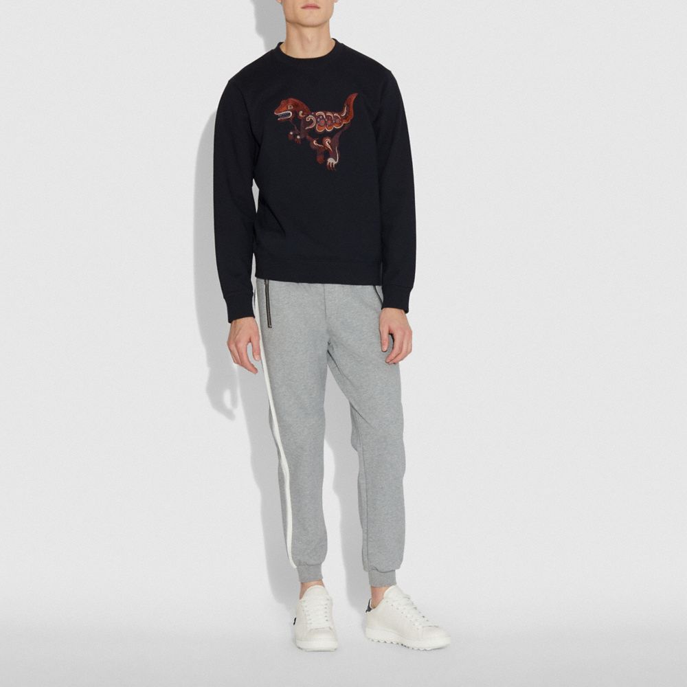 COACH®,Rexy By Zhu Jingyi Sweatshirt,,Scale View