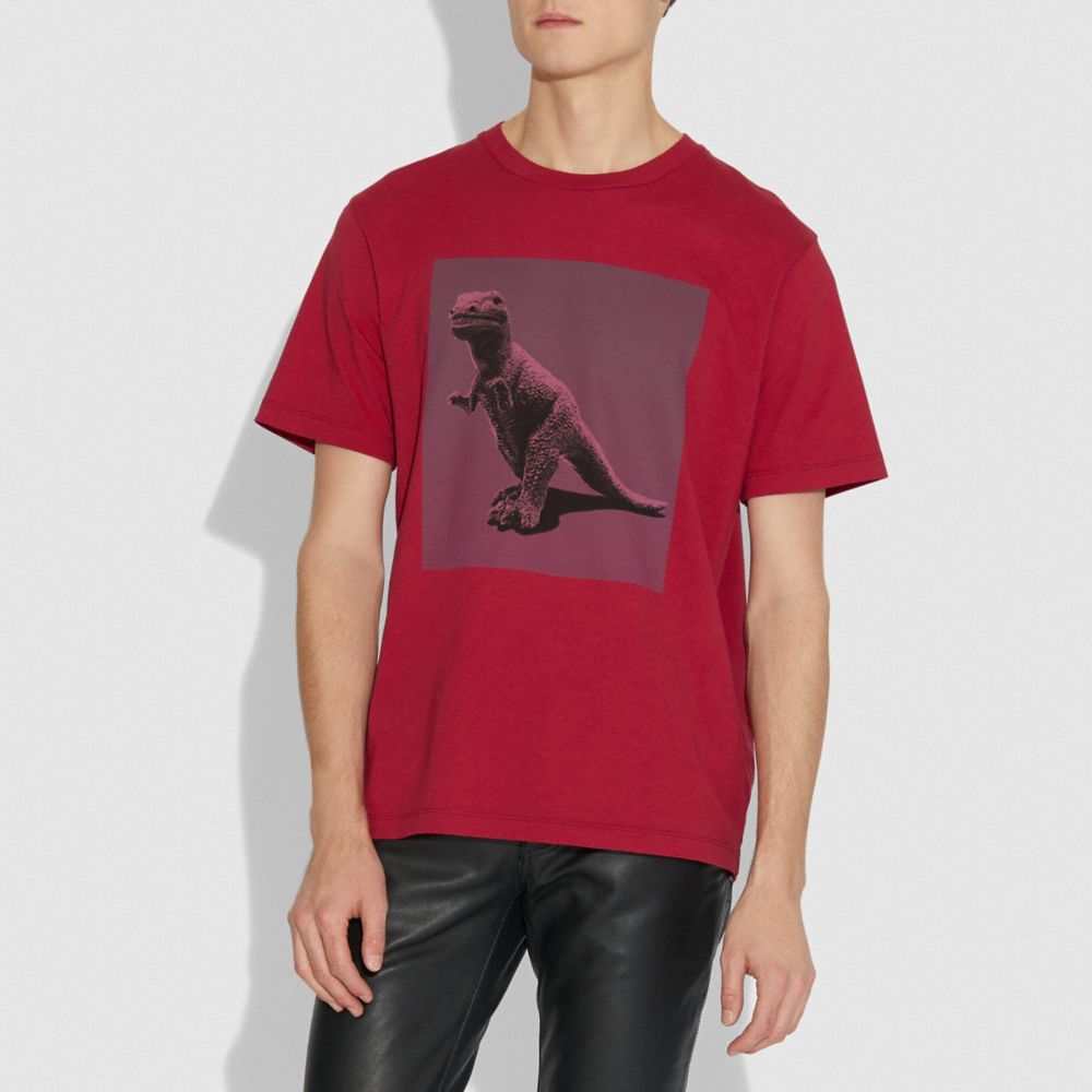 Rot,Skalierungsansicht