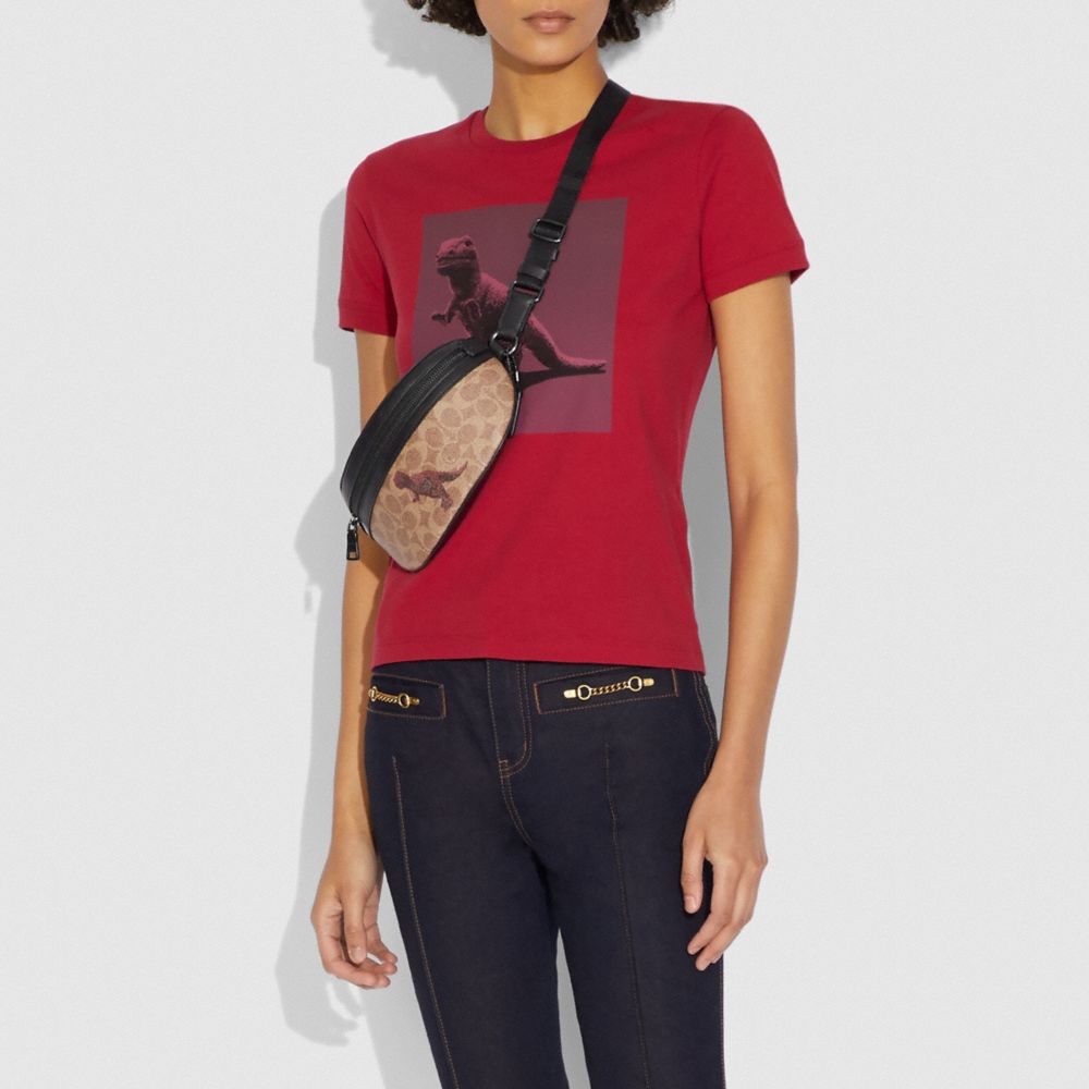 Belt Bag In Signature Canvas With Rexy By Sui Jianguo
