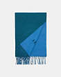 COACH®,SIGNATURE SCARF,n/a,Teal Ink Racer Blue,Angle View