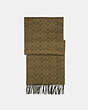 COACH®,SIGNATURE SCARF,n/a,DARK GREEN,Front View