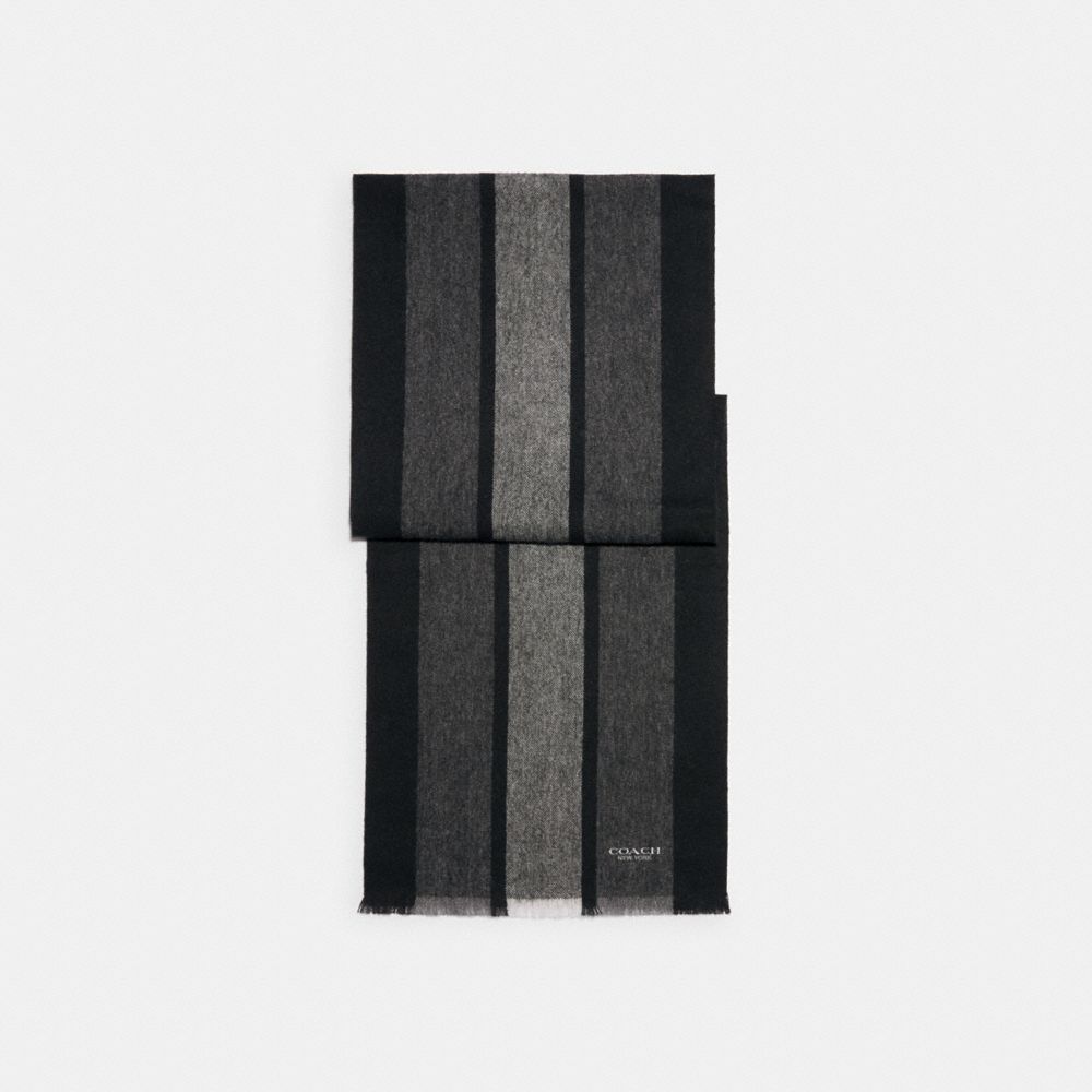 COACH®,Varsity Sport Scarf,,Front View