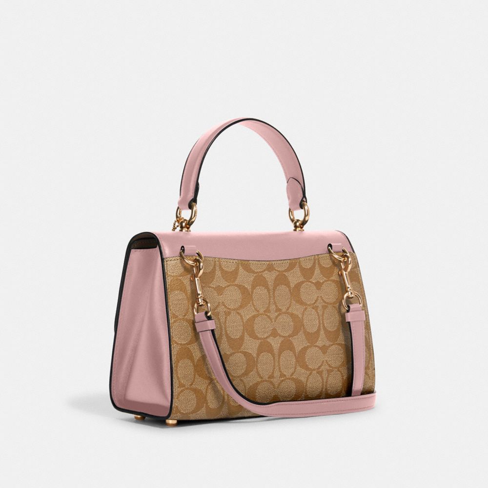 The Twilly and Hermes Handles  Coach swagger bag, Top handle bag