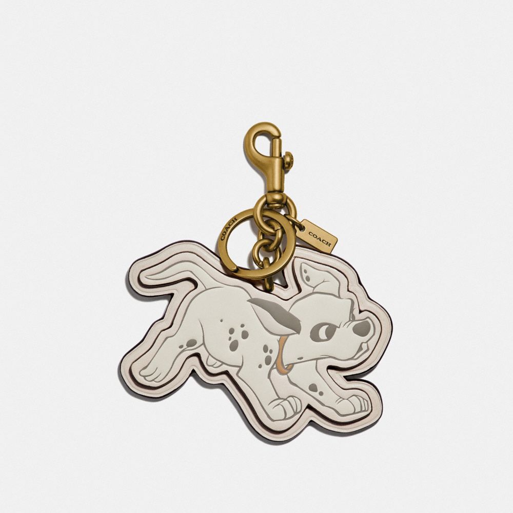 Coach dog bag discount charm