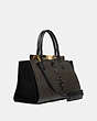 Troupe Carryall 35 In Colorblock With Snakeskin Detail