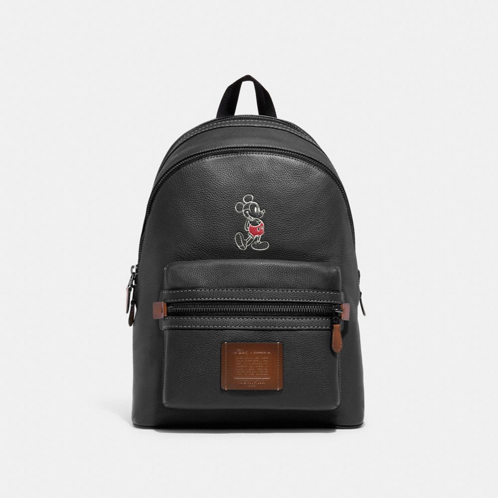 COACH X DISNEY, Bags