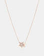 COACH®,SIGNATURE STAR NECKLACE,Plated Brass,Rose Gold/Grey,Front View