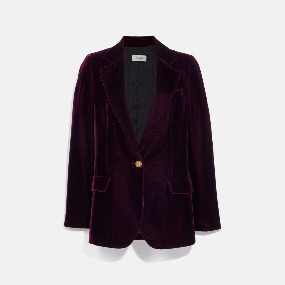 Velvet Blazer