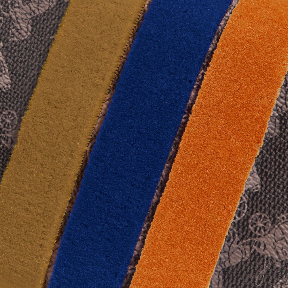 Camera Bag 16 Avec Imprimé Cheval Et Carriche Et Bande Varsity
