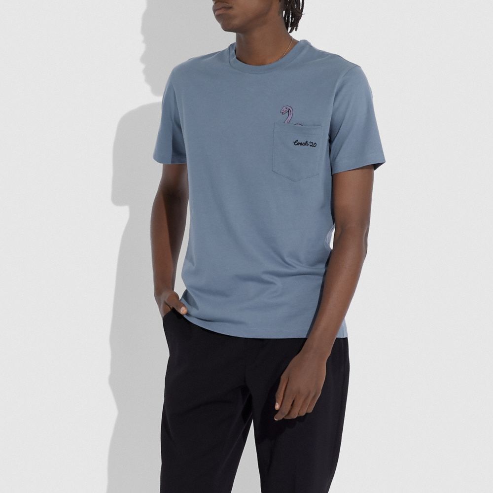 Mythical Monsters T Shirt With Champ