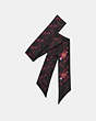 COACH®,HORSE AND CARRIAGE HEART PRINT SILK SKINNY SCARF,Silk,Black/Oxblood,Front View