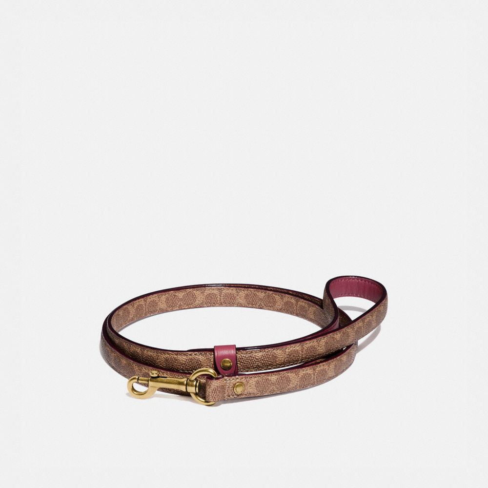 COACH®  Boxed Small Pet Collar In Signature Canvas