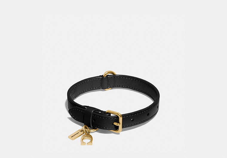 COACH®,SMALL PET COLLAR,Signature Coated Canvas,Gold/Black,Front View
