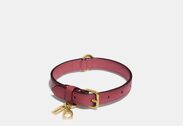 COACH®,SMALL PET COLLAR,Signature Coated Canvas,PINK,Front View