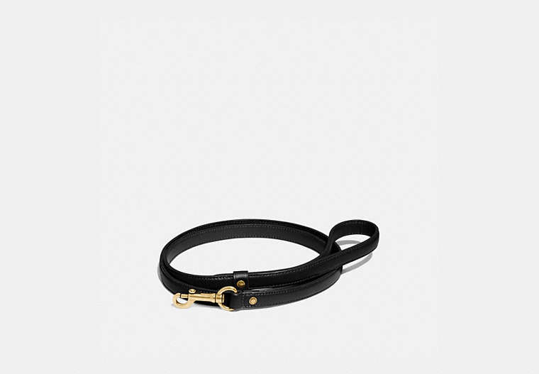 COACH®,SMALL PET LEASH,Signature Coated Canvas,Gold/Black,Front View
