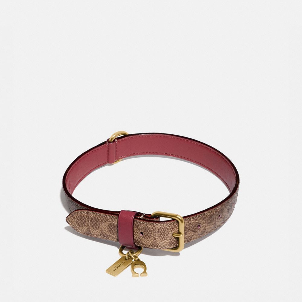 Coach dog collar discount outlet