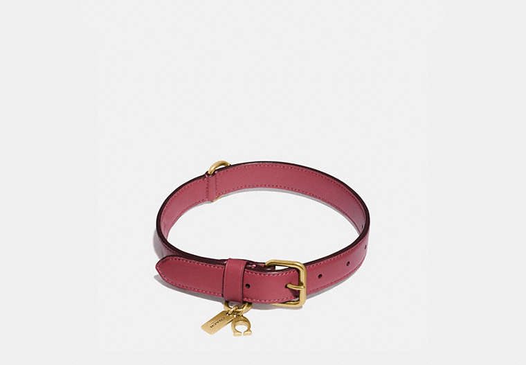 COACH®,MEDIUM/LARGE PET COLLAR,Signature Coated Canvas,PINK,Front View image number 0