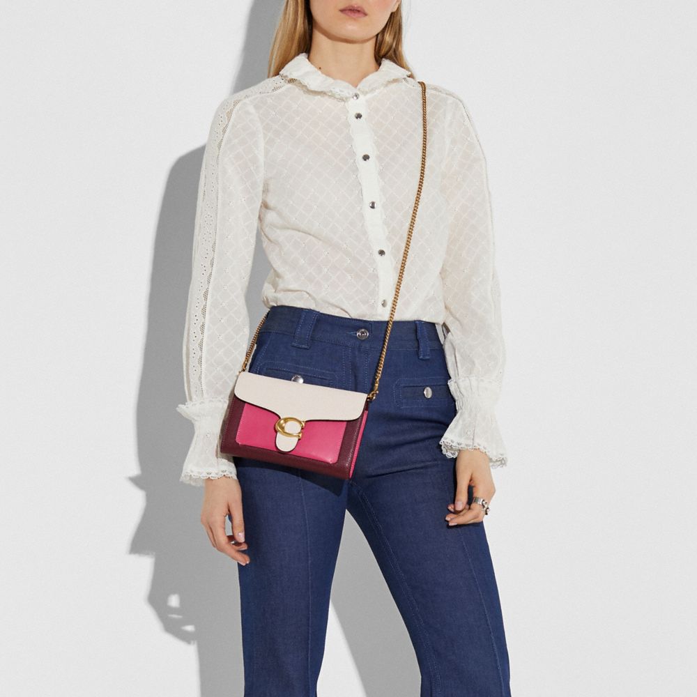 Tabby Chain Clutch In Colorblock