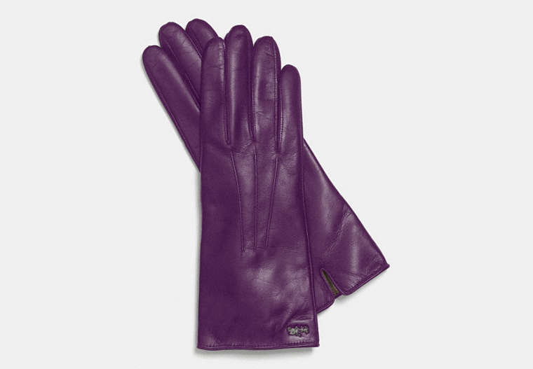 COACH®,LEATHER BASIC GLOVE,Leather,IRIS,Front View